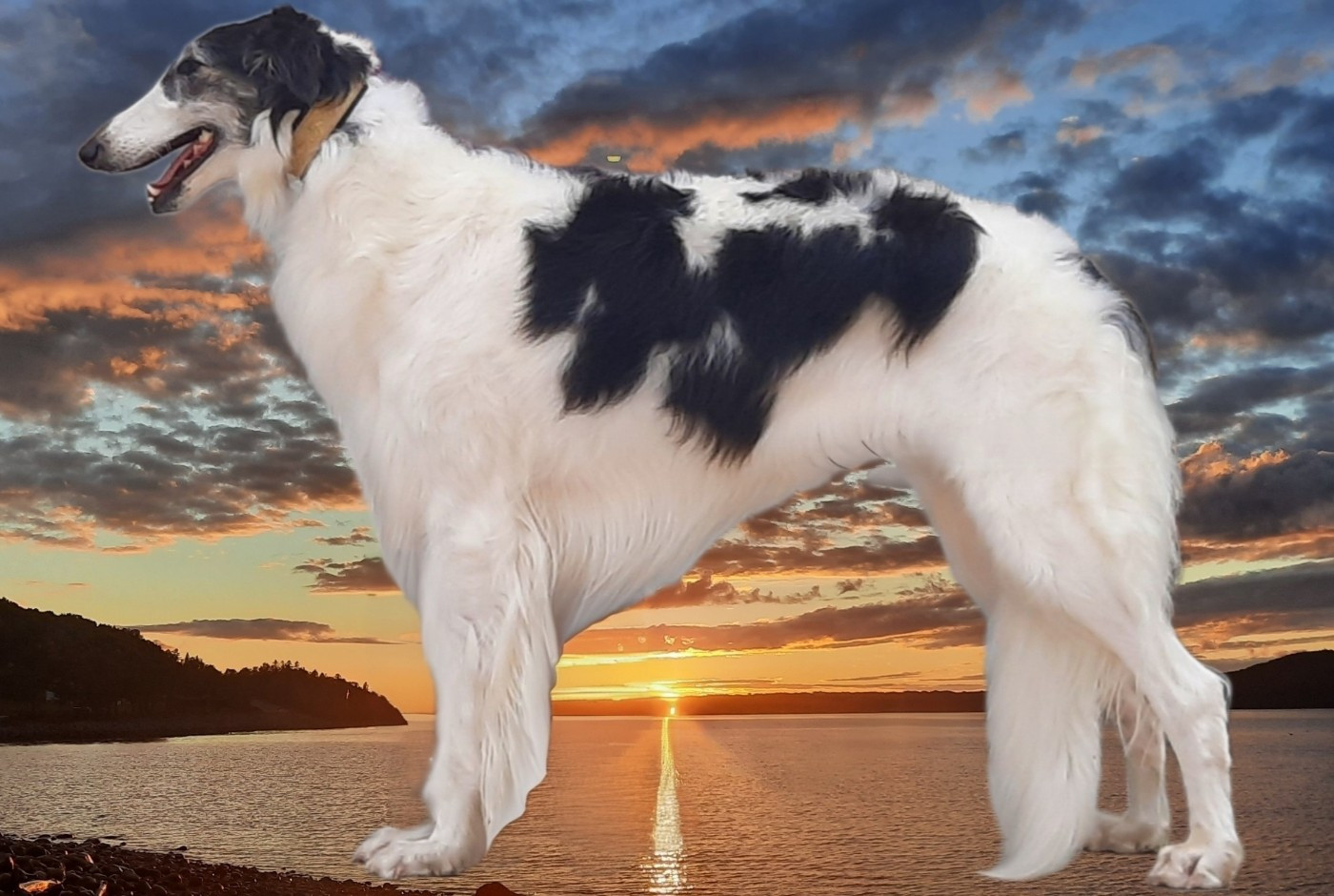 CH. Ultane du Clos Vremontois